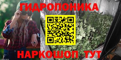 крисы Бузулук