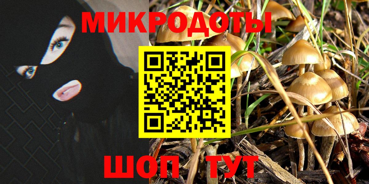 Саки  Псилоцибиновые грибы мухоморы  Галлюциногенные грибы GOLDEN TEACHER  Вход с VPN 